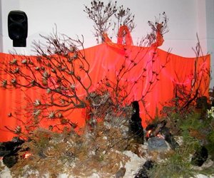 Fynbos en Musiek Expo